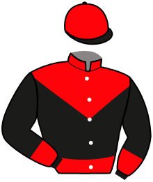 Casaque du n°5 — UTKIEKER