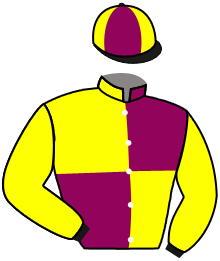 Casaque du n°6 — SAINT VALANTIN