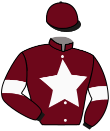 Casaque du n°10 — SKY EMPEROR