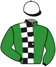 Casaque du n°2 — DANYLOV