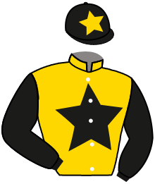 Casaque du n°9 — OSTSEESONNE