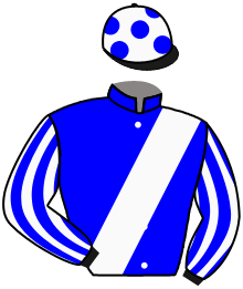 Casaque du n°2 — ZABEEL DREAM