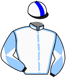 Casaque du n°9 — MORINDOO