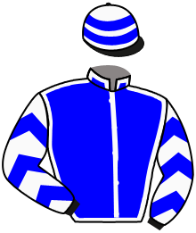 Casaque du n°3 — DARIUS CEN