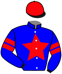 Casaque du n°10 — PEPPERFLY
