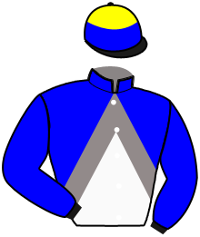 Casaque du n°11 — GRANDE GIOIA