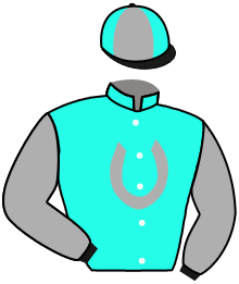 Casaque du n°9 — VIZINDI