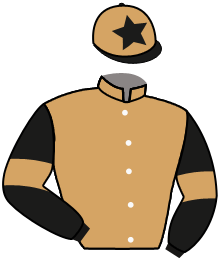 Casaque du n°1 — GIAVELLOTTO