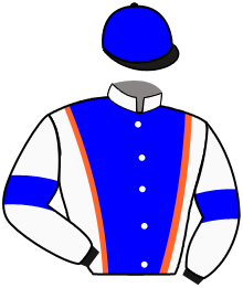 Casaque du n°6 — VEYRON BROS