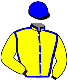 Casaque du n°6 — LASTROGENE D'AYZA AA