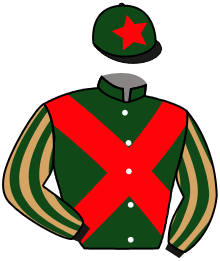 Casaque du n°3 — ICEO MADRIK