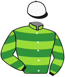 Casaque du n°10 — MERVEILLE DE MAINE