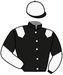 Casaque du n°1 — ILLARANT
