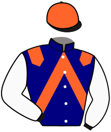 Casaque du n°6 — NOVORAPIDE