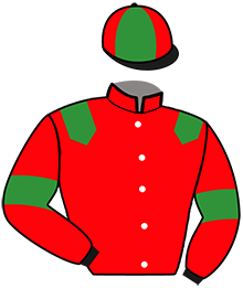 Casaque du n°12 — JIRARDIERE MERITE