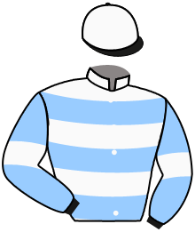Casaque du n°10 — GOLIATHA
