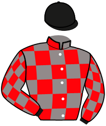 Casaque du n°3 — HUFALO