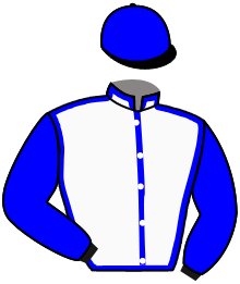 Casaque du n°12 — MONONOF