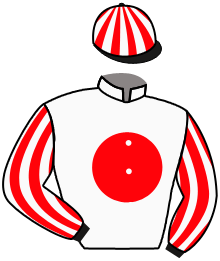 Casaque du n°16 — ZELKER