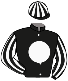 Casaque du n°4 — SURVIE