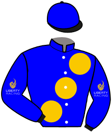Casaque du n°5 — CHIEFLAND