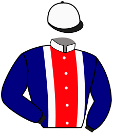 Casaque du n°5 — BUTRAGUENO