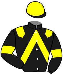 Casaque du n°10 — OULAN MAJOR