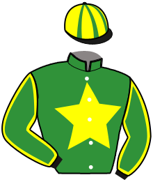 Casaque du n°10 — MAESTRIA D'EURVAD
