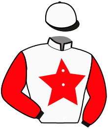 Casaque du n°3 — MIRACLE DE SAMCOF