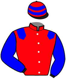 Casaque du n°3 — LA RAGNA