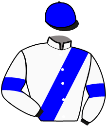 Casaque du n°8 — LOTUS BARBES