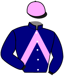 Casaque du n°10 — KAID DES BOSC