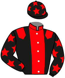 Casaque du n°11 — IMPERIAL MIJACK