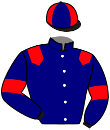 Casaque du n°14 — KSAR VRIE