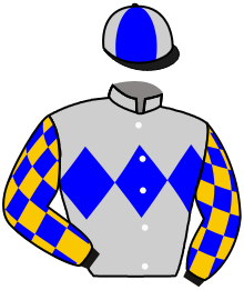 Casaque du n°12 — VICTORY CHAMPION