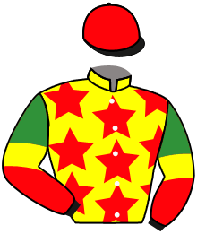 Casaque du n°1 — SOLEIL FIGHTER