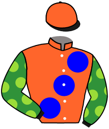 Casaque du n°2 — INVINCIBLE SHIELD
