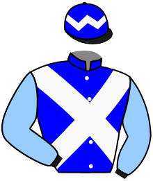 Casaque du n°8 — DROMBEG BANNER
