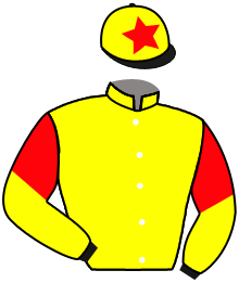 Casaque du n°14 — CALIFORNIA BANNER
