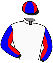 Casaque du n°7 — LEUCOTEA