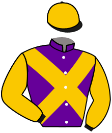 Casaque du n°8 — MAJORITY