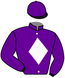 Casaque du n°1 — ATOMICO PASS