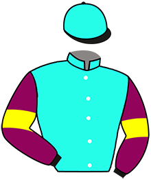 Casaque du n°2 — IMPERIAL GOLDEN