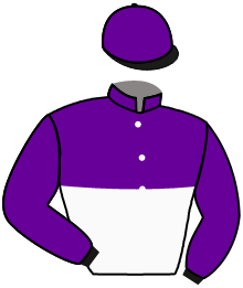 Casaque du n°10 — CAPITAL BOSS