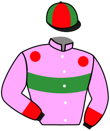 Casaque du n°5 — DON GRIEGO