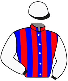 Casaque du n°5 — ORPHILA