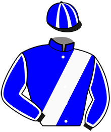 Casaque du n°11 — LONA DE CHAP