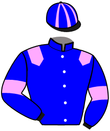 Casaque du n°11 — MOLITA
