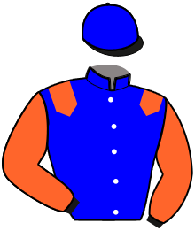Casaque du n°9 — MELODISYVA