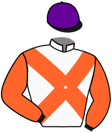 Casaque du n°1 — ELIAN